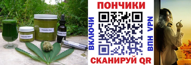 Купить где  Кизел  Canna-Cookies конопля 