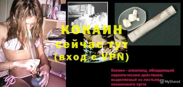 a pvp Дмитриев