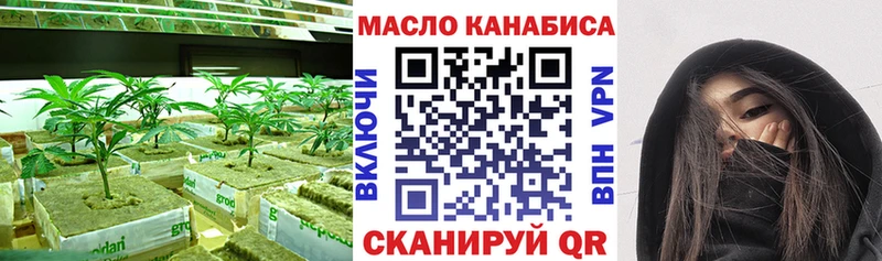 Купить где  Кизел  Дистиллят ТГК Wax 